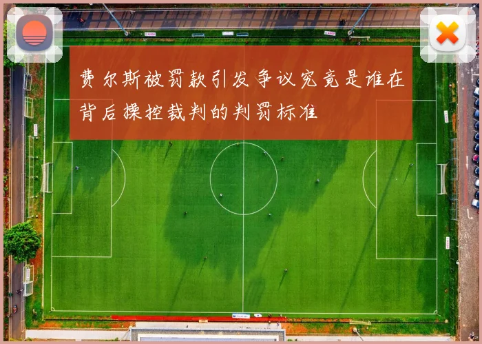 费尔斯被罚款引发争议究竟是谁在背后操控裁判的判罚标准