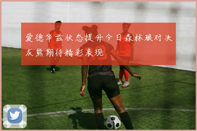 爱德华兹状态提升今日森林狼对决灰熊期待精彩表现