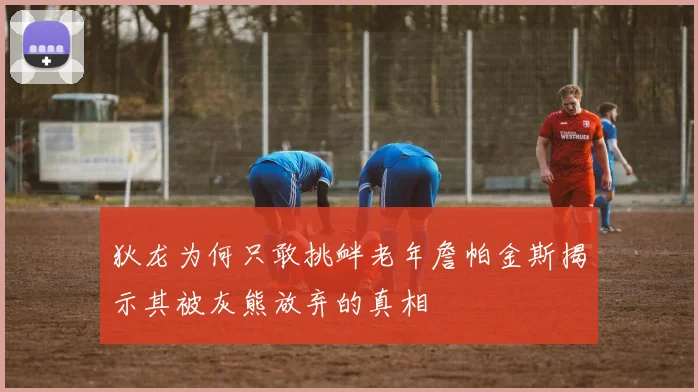 狄龙为何只敢挑衅老年詹帕金斯揭示其被灰熊放弃的真相