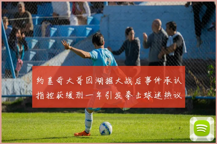 约基奇大哥因湖掘大战后事件承认指控获缓刑一年引发拳击球迷热议