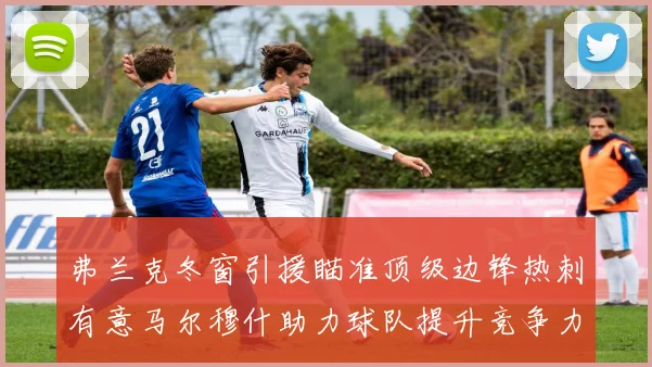 弗兰克冬窗引援瞄准顶级边锋热刺有意马尔穆什助力球队提升竞争力