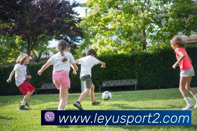 多媒体互动体验